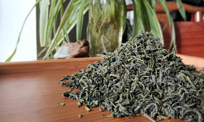 长寿土里的青田御茶